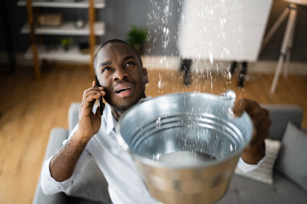 Best Water damage contractors near me  in Ashland, VA