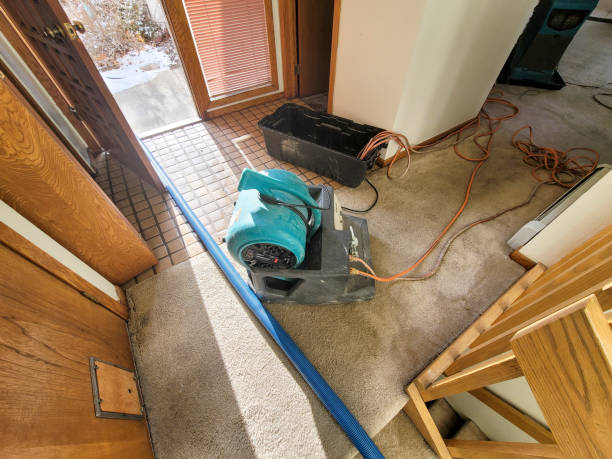 Water damage restoration insurance claims in Ashland, VA