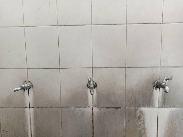 Best Basement water damage restoration  in Ashland, VA