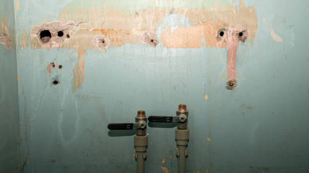 Reliable Ashland, VA Water damage restoration Solutions