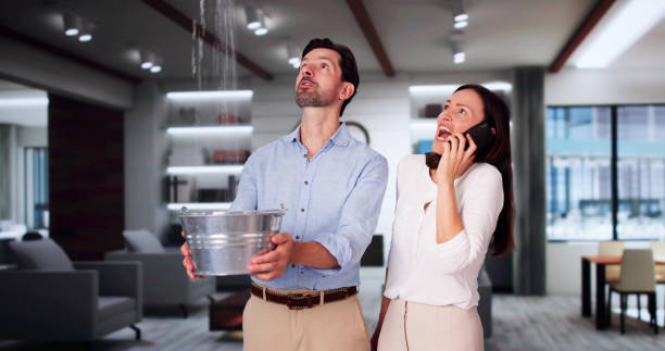 Best Local water damage restoration  in Ashland, VA