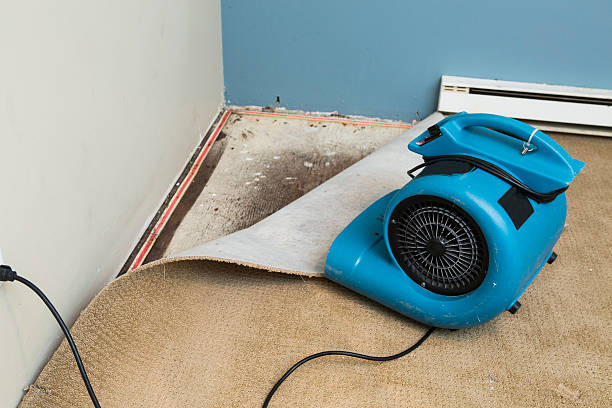 Best Residential water damage restoration  in Ashland, VA